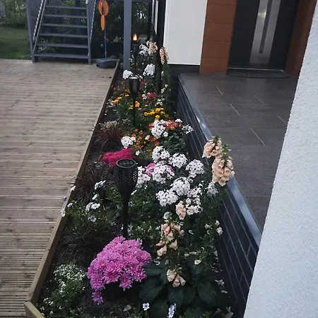 Alloggio in famiglia Aquarius *